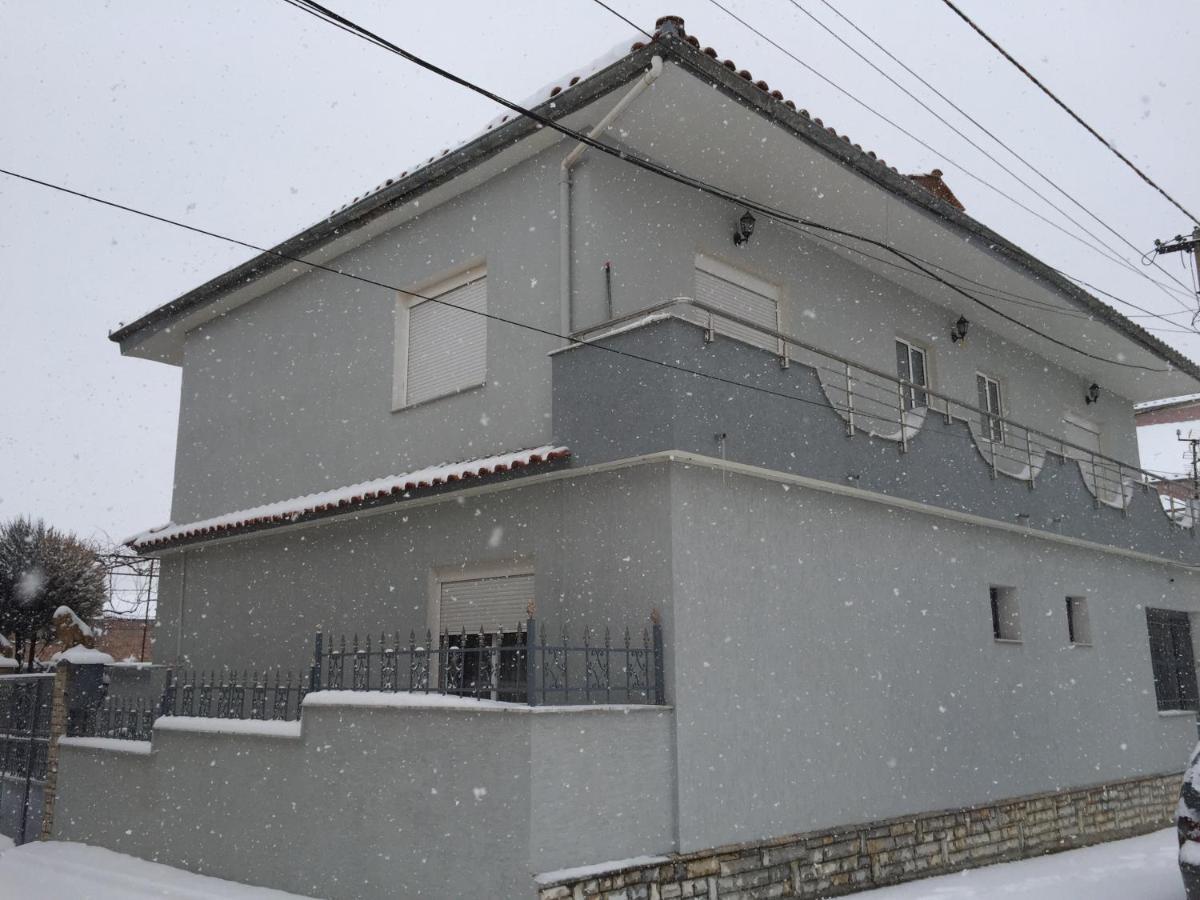 Vila Ridvani 코르처 외부 사진